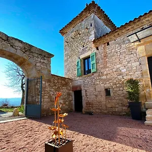 Domaine De Lejos - Portes D'albi Frühstückspension Lamillarié